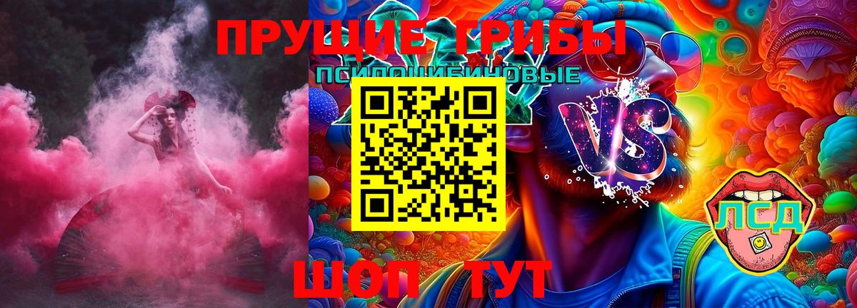 Нововоронеж  Галлюциногенные грибы Psilocybine cubensis  Вход с VPN 