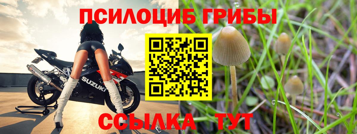 Псилоцибиновые грибы Magic Shrooms Нововоронеж